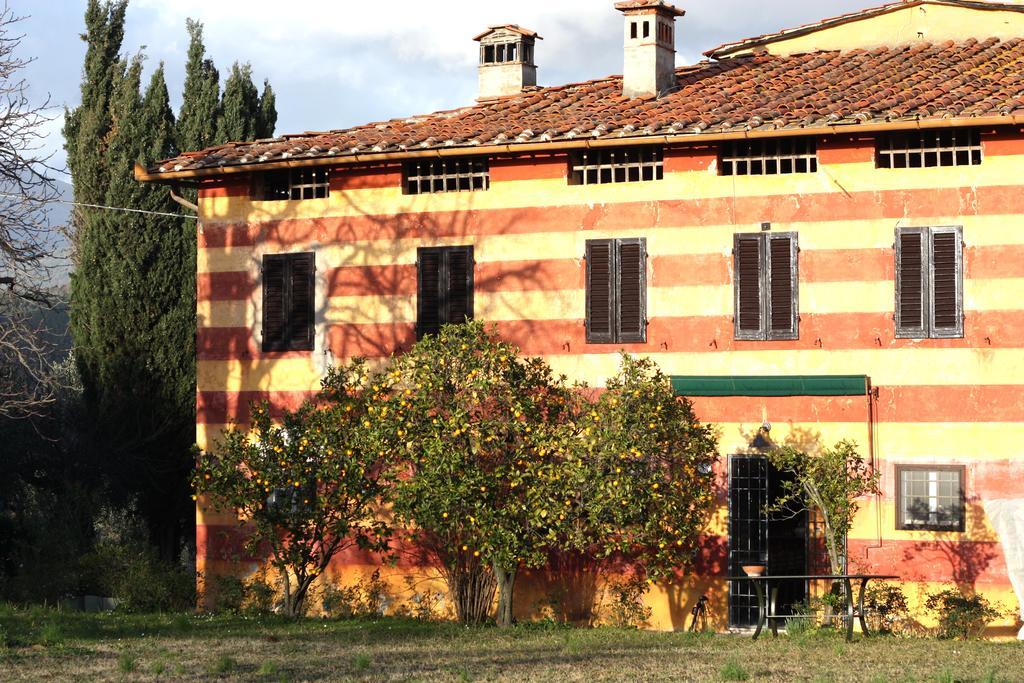 Fattoria Di Camporomano Massarosa Exterior foto