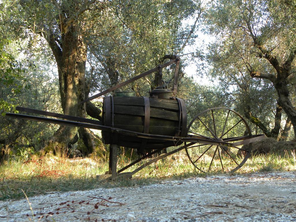 Fattoria Di Camporomano Massarosa Exterior foto