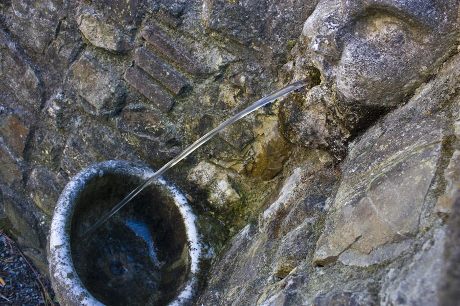 Fattoria Di Camporomano Massarosa Exterior foto